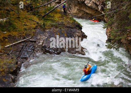 Eine männliche Kajakfahrer Fallenlassen eines Wasserfalls auf Johnston Canyon, Banff National Park, AB Stockfoto