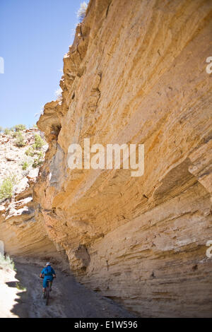 Eine männliche Mountainbiker fahren die epische Kantenschleife bei 40 Grad Hitze, Fruita, CO Stockfoto