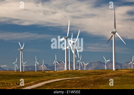 Stromerzeugenden Windmühlen in der Nähe von Fort MacLeod, Alberta, Kanada. Stockfoto