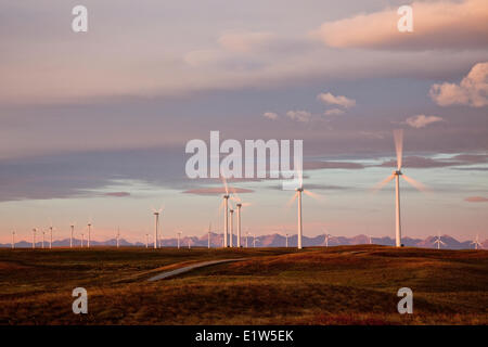 Stromerzeugenden Windmühlen in Betrieb im Morgengrauen in der Nähe von Fort Macleod, Süd-Alberta, Kanada. Stockfoto