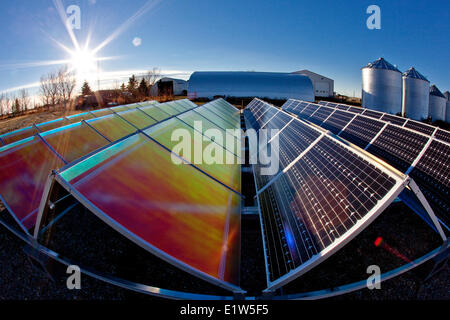 Sonnenkollektoren und Reflektoren (zur Effizienzsteigerung) auf Bauernhof in der Nähe von Calgary, Alberta, Kanada. Stockfoto