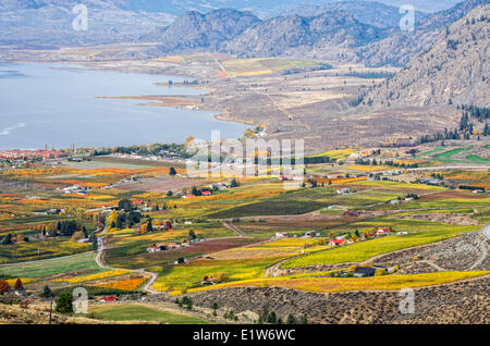 Häuser und bunte Weinberge im Herbst in Osoyoos Lake, Okanagan Valley of British Columbia, Kanada. Stockfoto