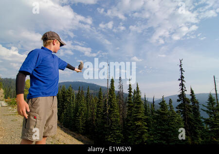 Junge Wanderer freundet sich mit einem neugierigen Clarks Nussknacker während Cascade Lookout in E.C. Manning Park in ein Rabe anschaut, auf Stockfoto