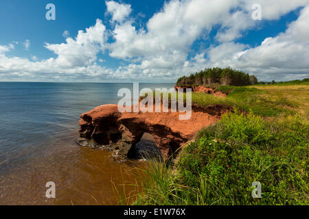 Erodiert roten Sandsteinfelsen, Kildare Capes, Prince Edward Island, Canada Stockfoto