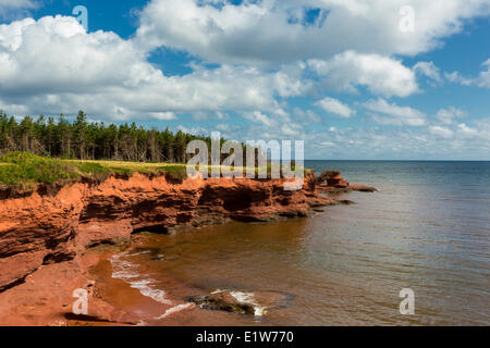 Erodiert roten Sandsteinfelsen, Kildare Capes, Prince Edward Island, Canada Stockfoto