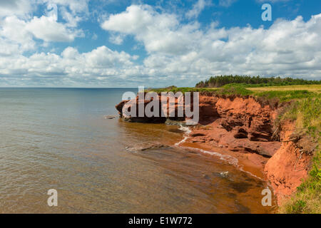 Erodiert roten Sandsteinfelsen, Kildare Capes, Prince Edward Island, Canada Stockfoto