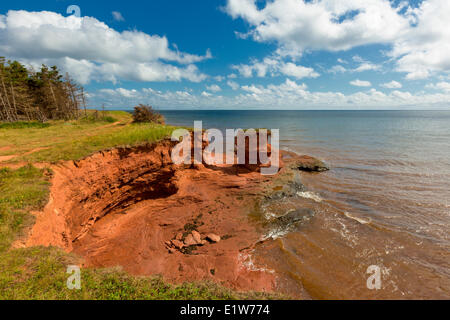 Erodiert roten Sandsteinfelsen, Kildare Capes, Prince Edward Island, Canada Stockfoto
