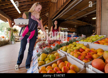 Mutter-Baby-Shop für frische Lebensmittel in Bären-Obststand in Keremeos im Similkameen Region British Columbia Kanada bereisen Stockfoto