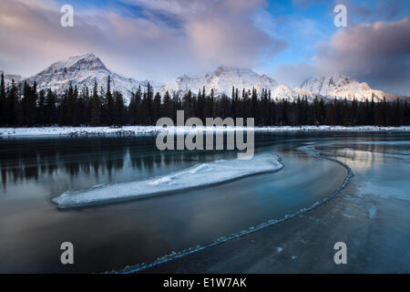 Sonnenaufgang am Athabasca River mit Eisstrom und Mount Fryatt in Jasper Nationalpark, Alberta, Kanada Stockfoto