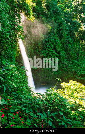 Wasserfall im Regenwald, La Paz Wasserfall Gärten, Costa Rica Stockfoto