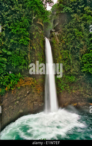 Wasserfall im Regenwald, La Paz Wasserfall Gärten, Costa Rica Stockfoto