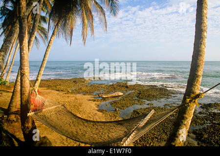 Hängematte auf Küste, Cahuita, Costa Rica Stockfoto