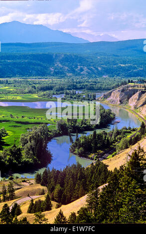 Columbia River in der Nähe von Radium Hot Springs, Britisch-Kolumbien, Kanada Stockfoto