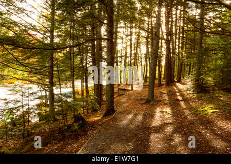 Mühlen-Fälle, Mersey River, Kejimkujik Nationalpark, Nova Scotia, Kanada Stockfoto