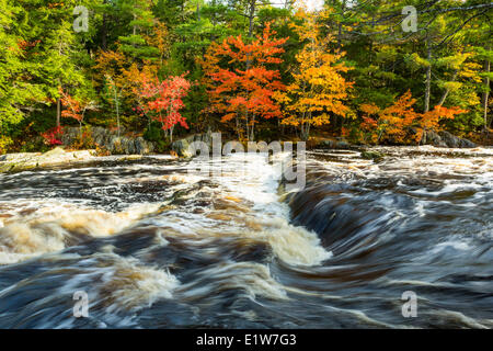 Mühlen-Fälle, Mersey River, Kejimkujik Nationalpark, Nova Scotia, Kanada Stockfoto