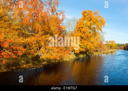 Mersey River, Kejimkujik Nationalpark, Nova Scotia, Kanada Stockfoto