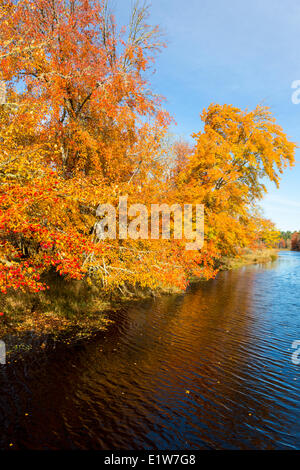 Mersey River, Kejimkujik Nationalpark, Nova Scotia, Kanada Stockfoto