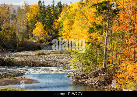 Middle River West, Cape Breton, Nova Scotia, Kanada Stockfoto