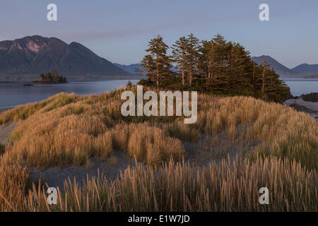 Dämmerung senkt sich auf Whaler Inselchen mit dem Küstengebirge Vancouver Insel Flores Island im Hintergrund. Clayoquot Sound Stockfoto