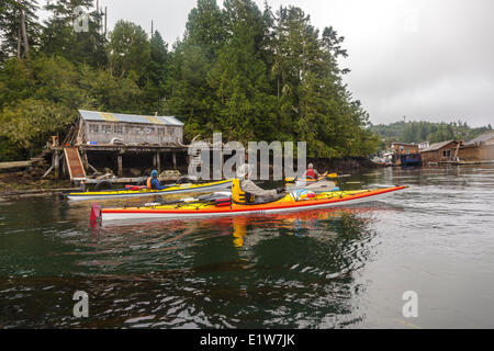 Drei Kajakfahrer erkunden die Küste aus Tofino auf Vancouver Island, British Columbia, Kanada. Model Released Stockfoto