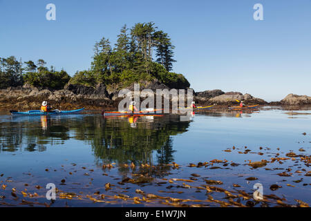 Vier Kanuten erkunden die Steingärten im Nuchalitz Provincial Park vor Nootka Island an der Westküste von British Columbia, kann Stockfoto