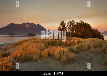 Dämmerung senkt sich auf Whaler Inselchen mit dem Küstengebirge Vancouver Insel Flores Island im Hintergrund. Clayoquot Sound Stockfoto