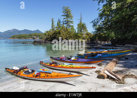 Eine Gruppe von Kajakfahrer kommen bei Rosa Insel im Nutchatlitz Provincial Park an der Westküste von British Columbia, Kanada. Stockfoto