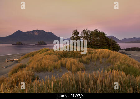 Dämmerung senkt sich auf Whaler Inselchen mit dem Küstengebirge Vancouver Insel Flores Island im Hintergrund. Clayoquot Sound Stockfoto