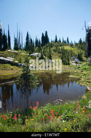 Mount Revelstoke, Revelstoke National Park, Britisch-Kolumbien, Kanada Stockfoto