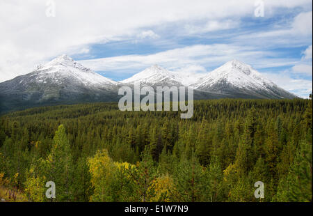 Berge in Kalkstein Gipfel reichen Lodgepole Pine (Pinus Contorta) Süden Jade Stadt Hwy 37 nördlichen British Columbia Kanada Stockfoto