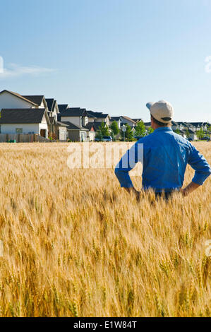 Bauer aus seiner Reifung Weizenfeld Blick auf eine Siedlung im Hintergrund, Winnipeg, Manitoba, Kanada Stockfoto