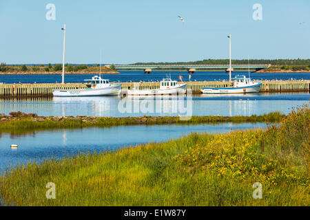 Angelboote/Fischerboote am Kai, Wallace, Neuschottland, Kanada gefesselt Stockfoto