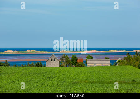 Scheunen, Springbrook, Prince Edward Island, Canada Stockfoto