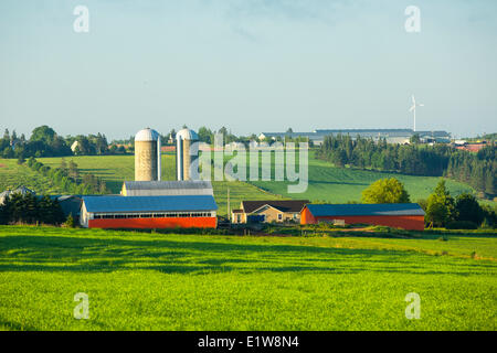 Bauernhof, Orwell, Prince Edward Island, Canada Stockfoto