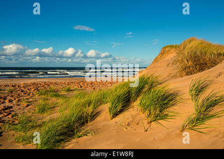 Küste, Gulf Shore Parkway, Brackley, Prince Edward Island National Park, Kanada Stockfoto