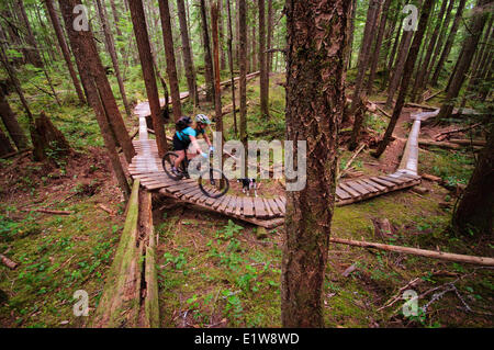 Mountainbiken in Cumberland, Vancouver Island, British Columbia, Kanada Stockfoto