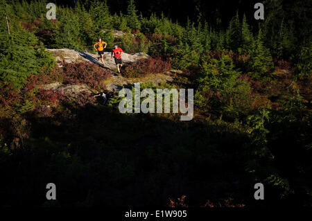 Zwei Personen Trail-running-auf Hollyburn Berg, Cypress Bowl, West Vancouver. Britisch-Kolumbien. Kanada Stockfoto