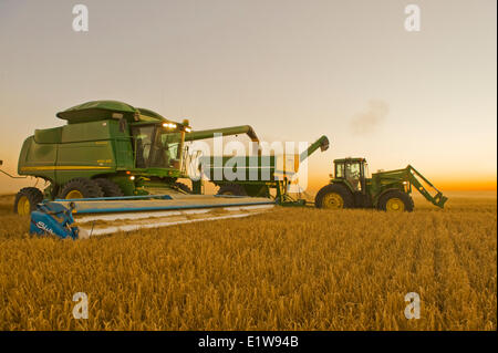 Kombinieren Sie entlädt Gerste in einer Korn-Wagen auf dem Sprung in der Nähe von Ponteix, Saskatchewan, Kanada Stockfoto