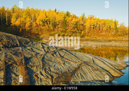 Präkambrischen Schild Felsen entlang des Winnipeg River mit Herbst Farben im Hintergrund, in der Nähe von sieben Schwestern, Manitoba, Kanada Stockfoto