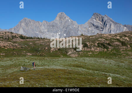 Wanderer auf Kalkstein Seen Becken Stiletto Mt Battisti Mount Swiderski Mount Cadorna Scheitelhöhe der Rocky Mountains Provincial Park Stockfoto