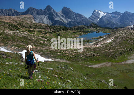 Wanderer, die Wiesen zu niedrigeren Kalkstein Seen Becken Stiletto Spitze Mt Battisti montieren Swiderski montieren Cadorna montieren Abruzzen absteigend Stockfoto