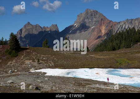 Junges Mädchen Wandern in Richtung amerikanische und kanadische Grenze Gipfeln, gelben Aster Butte Weg, Mount Baker Wildnis, Washington State Stockfoto