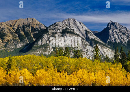 Die kanadischen Rocky Mountains im Herbst entlang der David Thompson Highway, Alberta, Kanada Stockfoto