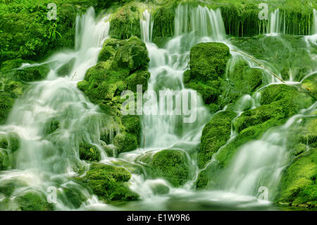 Dickson Creek in Dickson verliebt sich in Fundy National Park, New Brunswick, Kanada Stockfoto