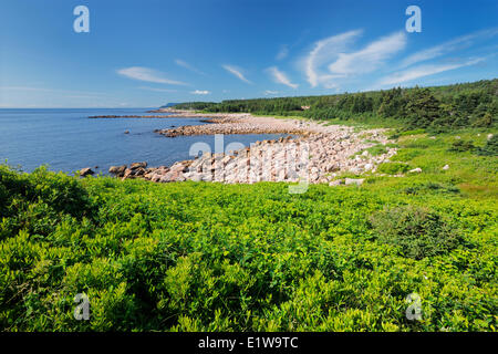 Felsenküste am Cabot Trail Green Cove, Cape Breton Highlands National Park, Nova Scotia, Kanada Stockfoto