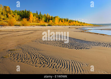 Sandy Ufer des kleinen Slave Lake im Herbst, kleinen Slave Lake Provincial Park, Alberta, Kanada Stockfoto