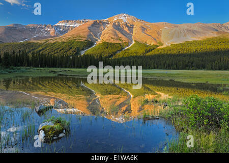 Kanadischen Rocky Mountains in der Nähe von Bow Summit, Banff Nationalpark, Alberta, Kanada Stockfoto
