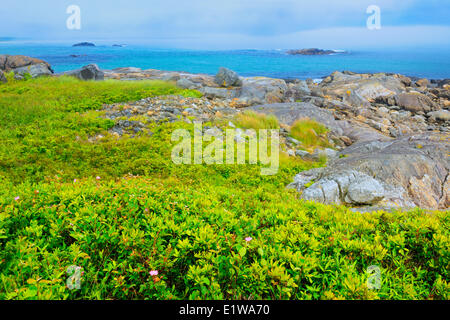 Küste des Atlantischen Ozeans, Kejimkujik National Park, am Meer Adjunct, Nova Scotia, Kanada Stockfoto