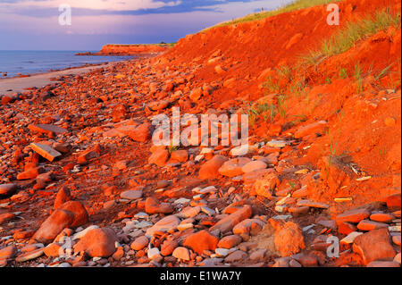 Rote Klippen bei Sonnenuntergang, Kabel Head, Prince-Edward-Insel, Kanada Stockfoto