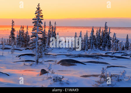 Sonnenuntergang auf der spärlich bewaldeten Tundra, Churchill, Manitoba, Kanada Stockfoto